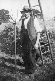 Saunders