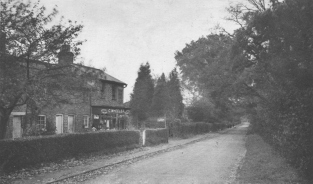 Rowplatt Lane