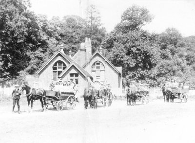 tnw_school outing c1911.jpg